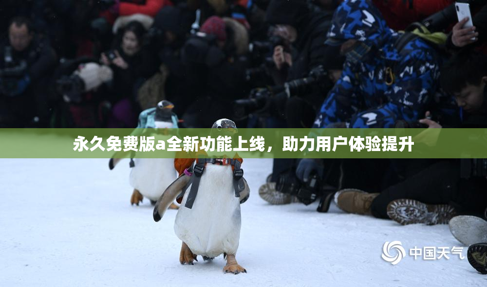 永久免费版a全新功能上线，助力用户体验提升