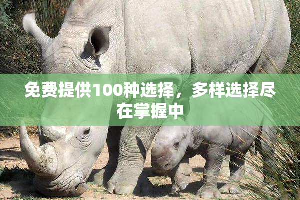 免费提供100种选择，多样选择尽在掌握中
