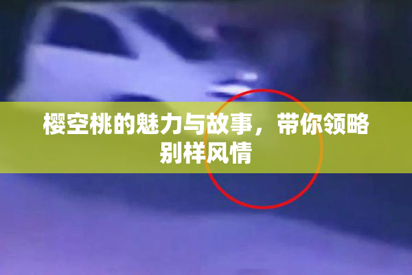樱空桃的魅力与故事，带你领略别样风情