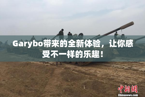 Garybo带来的全新体验，让你感受不一样的乐趣！