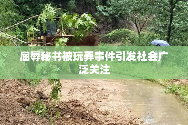 屈辱秘书被玩弄事件引发社会广泛关注