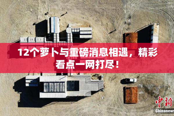12个萝卜与重磅消息相遇，精彩看点一网打尽！