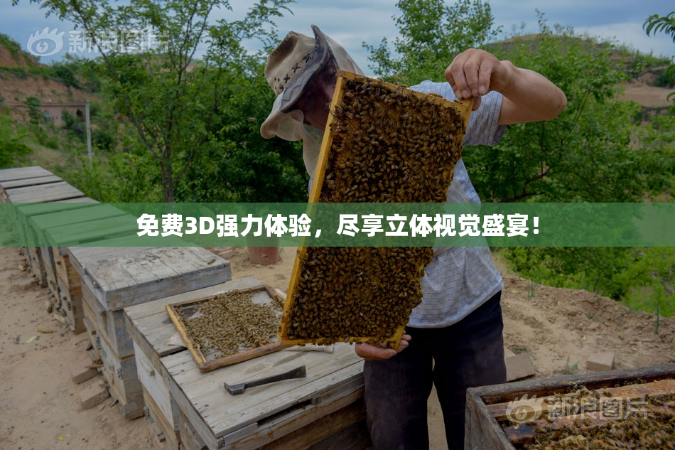 免费3D强力体验，尽享立体视觉盛宴！