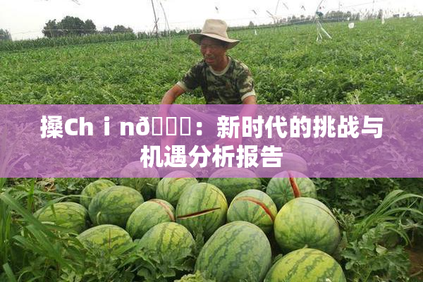 搡Chⅰn🈚：新时代的挑战与机遇分析报告