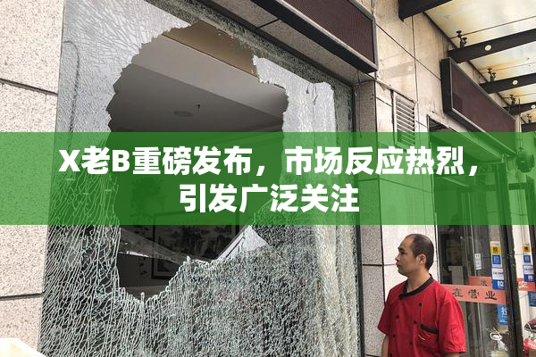 X老B重磅发布，市场反应热烈，引发广泛关注
