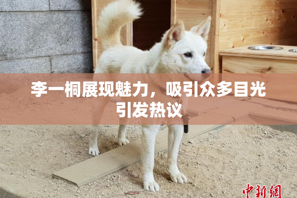 李一桐展现魅力，吸引众多目光引发热议