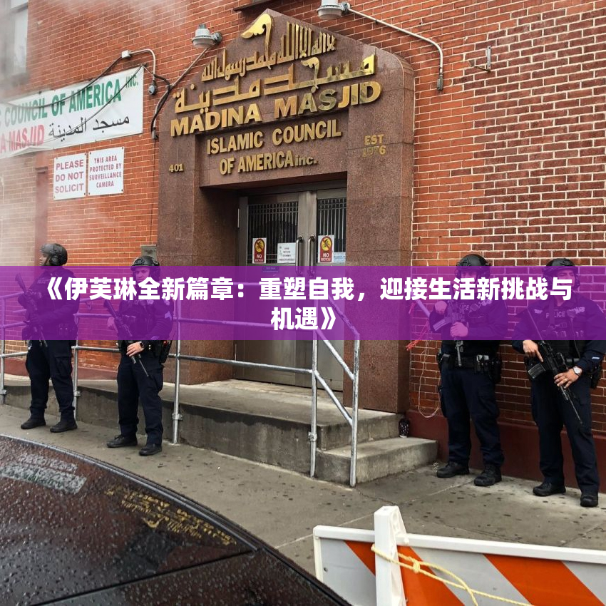 《伊芙琳全新篇章：重塑自我，迎接生活新挑战与机遇》