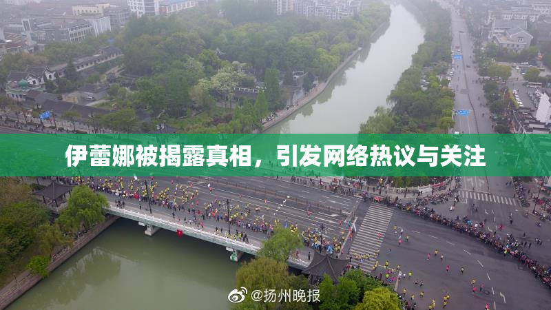 伊蕾娜被揭露真相，引发网络热议与关注