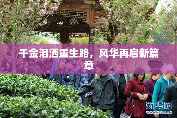 千金泪洒重生路，风华再启新篇章