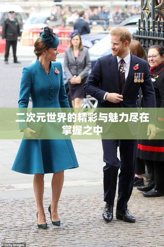二次元世界的精彩与魅力尽在掌握之中
