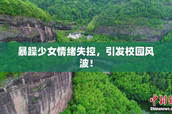 暴躁少女情绪失控，引发校园风波！