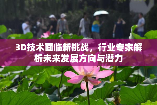 3D技术面临新挑战，行业专家解析未来发展方向与潜力