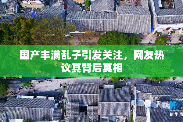 国产丰满乱子引发关注，网友热议其背后真相