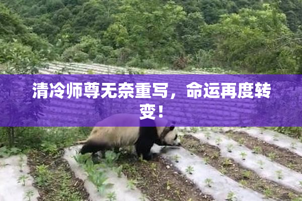 清冷师尊无奈重写，命运再度转变！