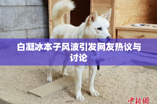 白凝冰本子风波引发网友热议与讨论