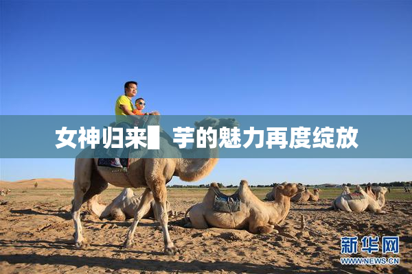 女神归来▌芋的魅力再度绽放