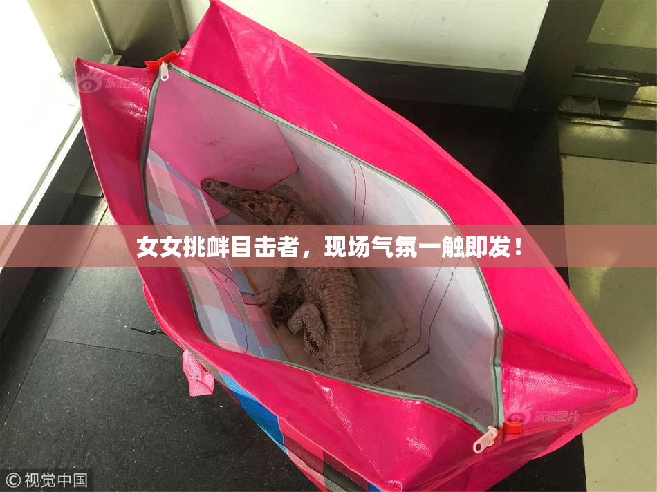 女女挑衅目击者，现场气氛一触即发！