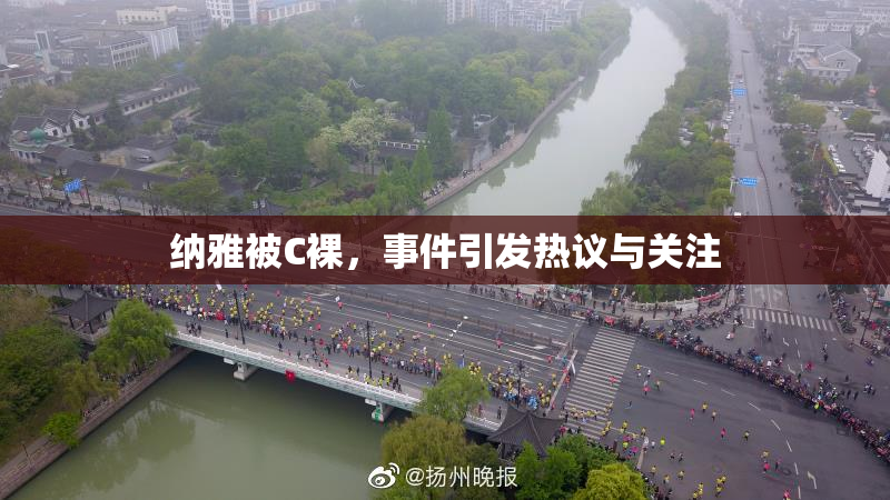 纳雅被C裸，事件引发热议与关注