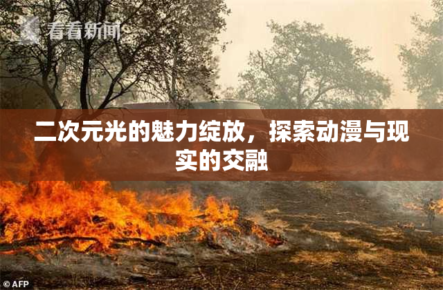二次元光的魅力绽放，探索动漫与现实的交融