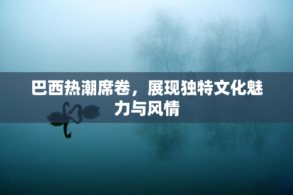 巴西热潮席卷，展现独特文化魅力与风情
