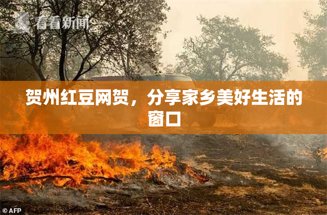 贺州红豆网贺，分享家乡美好生活的窗口