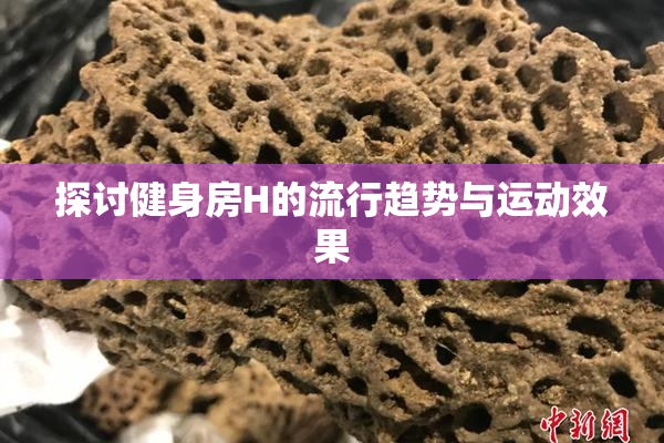 探讨健身房H的流行趋势与运动效果