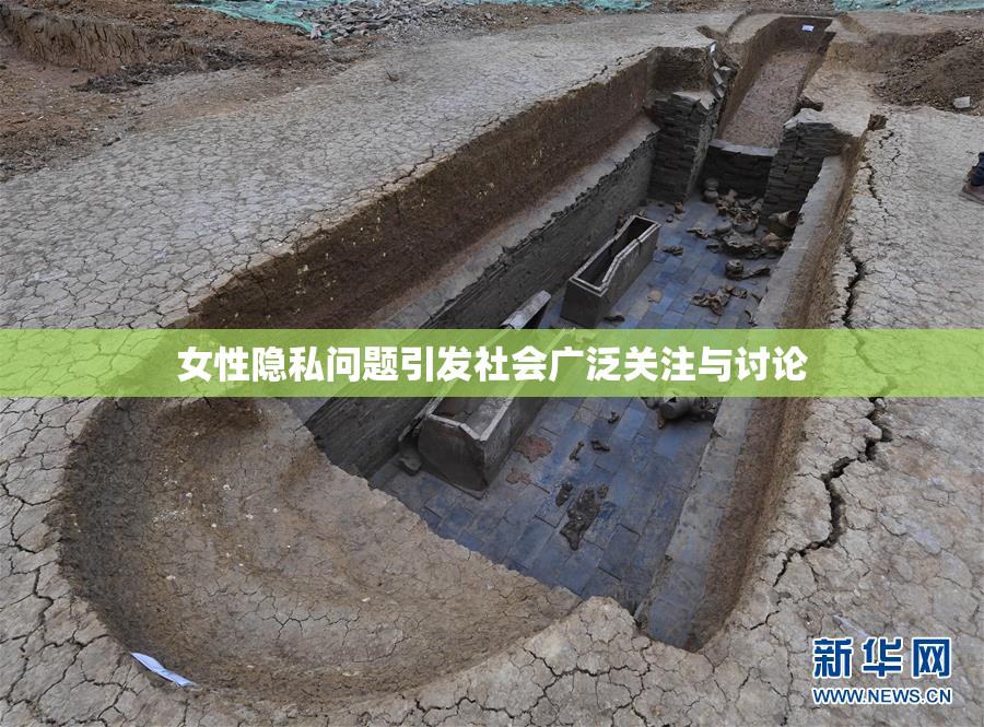 女性隐私问题引发社会广泛关注与讨论