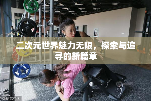 二次元世界魅力无限，探索与追寻的新篇章