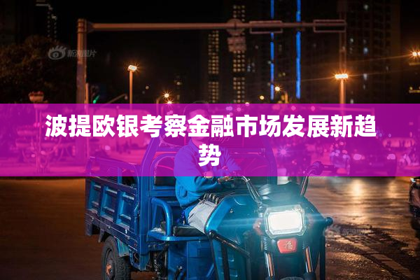 波提欧银考察金融市场发展新趋势
