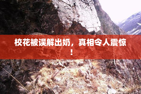 校花被误解出奶，真相令人震惊！