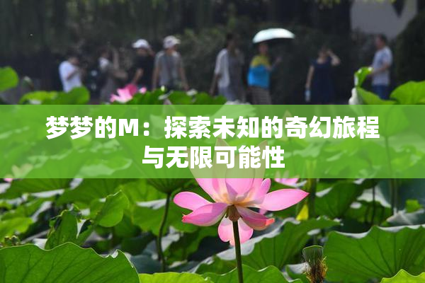 梦梦的M：探索未知的奇幻旅程与无限可能性