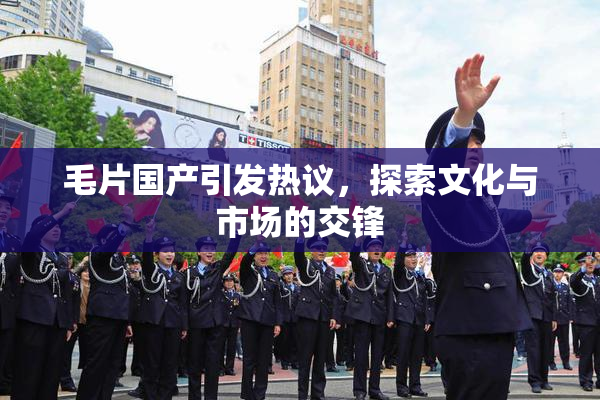 毛片国产引发热议，探索文化与市场的交锋