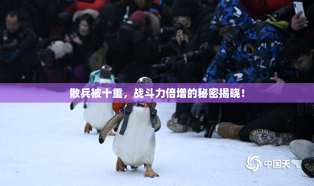 散兵被十重，战斗力倍增的秘密揭晓！