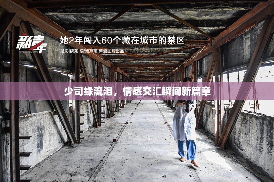 少司缘流泪，情感交汇瞬间新篇章