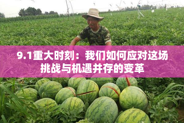 9.1重大时刻：我们如何应对这场挑战与机遇并存的变革