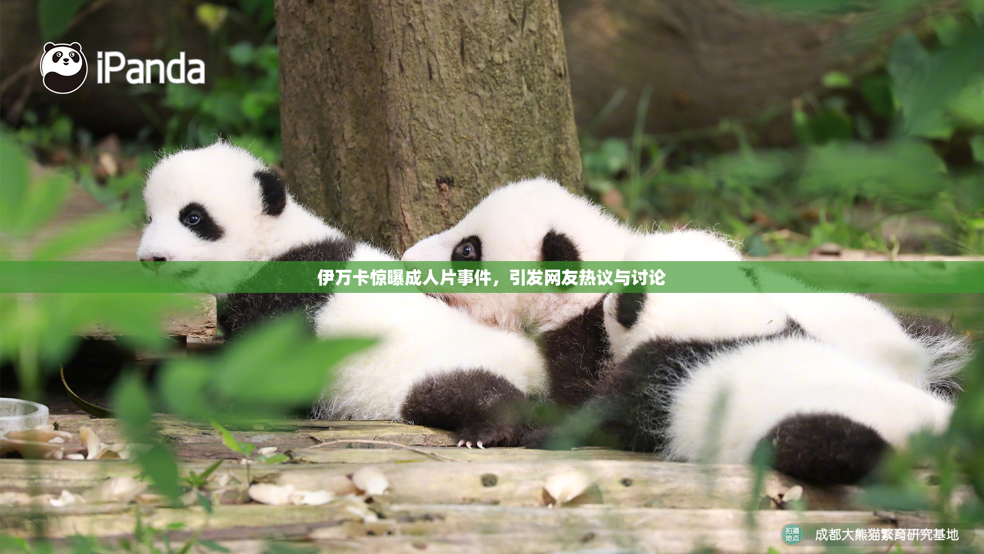 伊万卡惊曝成人片事件，引发网友热议与讨论