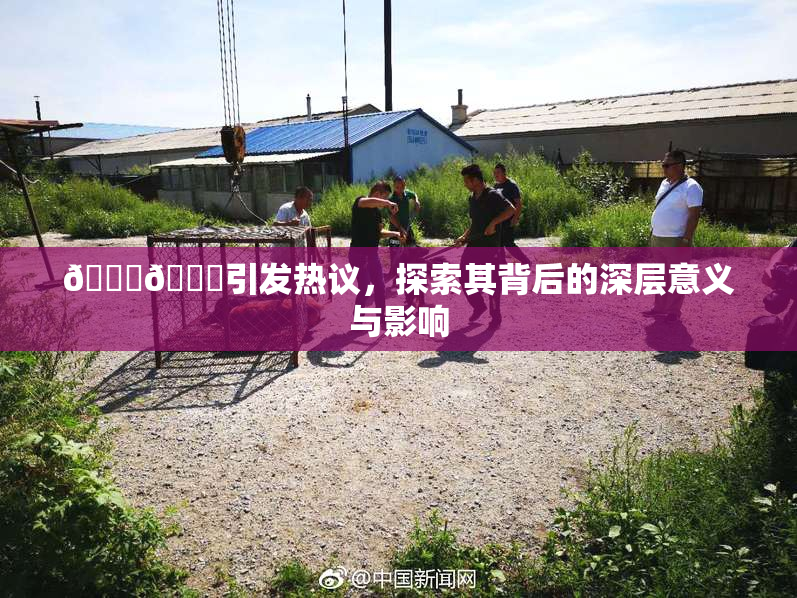 🐔🐔引发热议，探索其背后的深层意义与影响