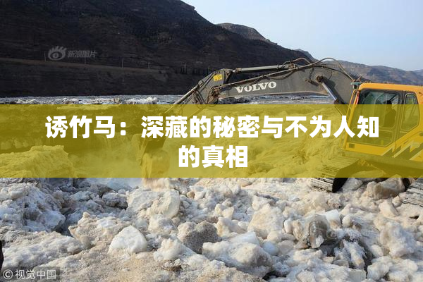 诱竹马：深藏的秘密与不为人知的真相