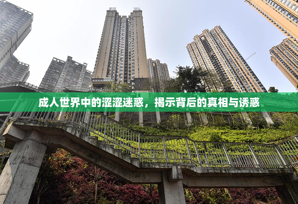 成人世界中的涩涩迷惑，揭示背后的真相与诱惑
