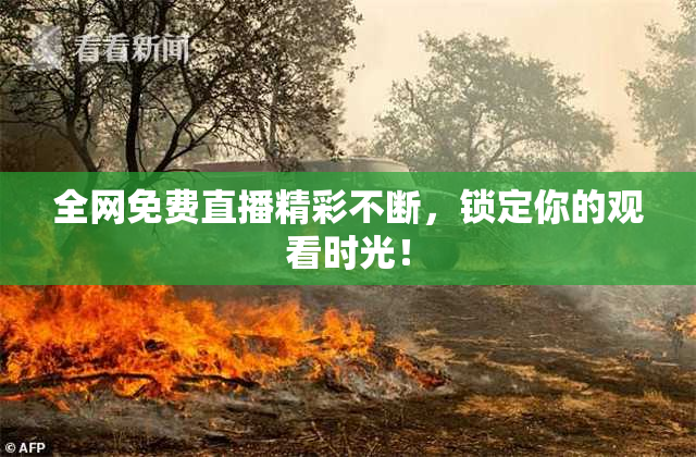 全网免费直播精彩不断，锁定你的观看时光！