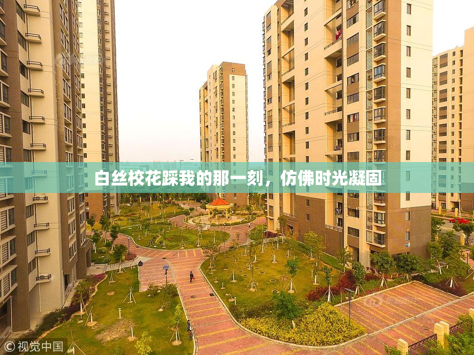 白丝校花踩我的那一刻，仿佛时光凝固