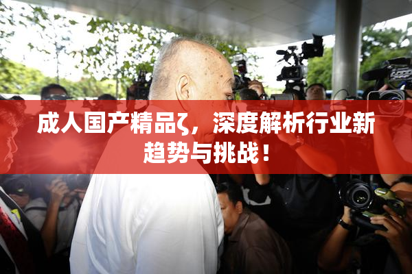成人国产精品ζ，深度解析行业新趋势与挑战！