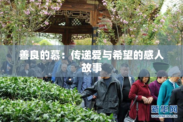 善良的慕：传递爱与希望的感人故事