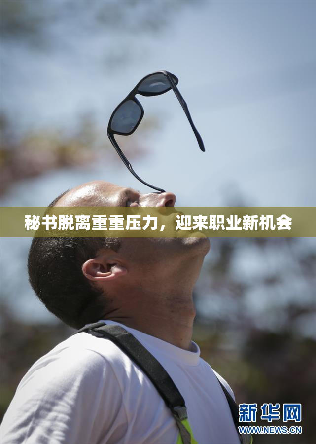秘书脱离重重压力，迎来职业新机会