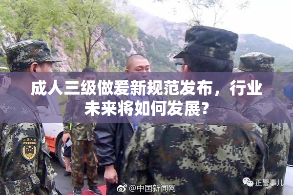 成人三级做爰新规范发布，行业未来将如何发展？