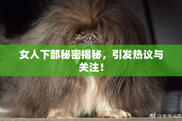 女人下部秘密揭秘，引发热议与关注！