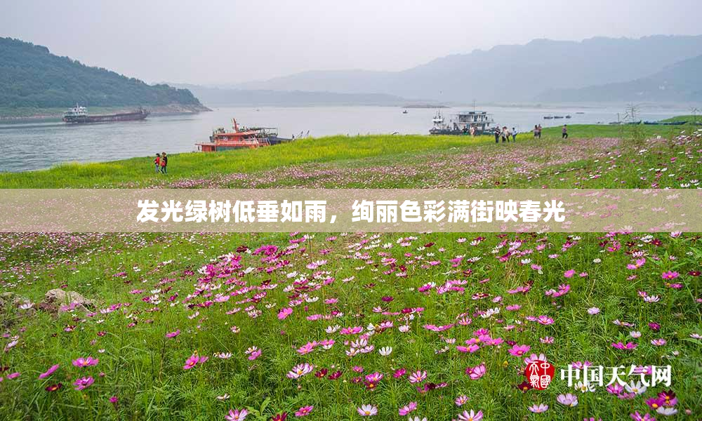 发光绿树低垂如雨，绚丽色彩满街映春光