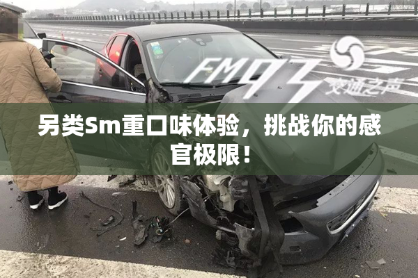 另类Sm重口味体验，挑战你的感官极限！