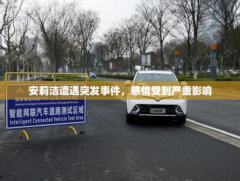 安莉洁遭遇突发事件，感情受到严重影响