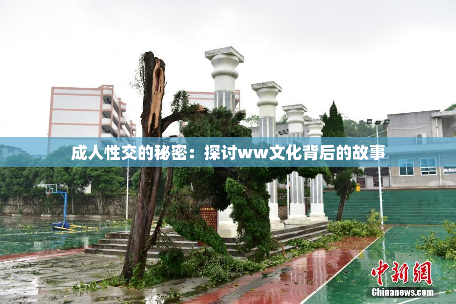 成人性交的秘密：探讨ww文化背后的故事